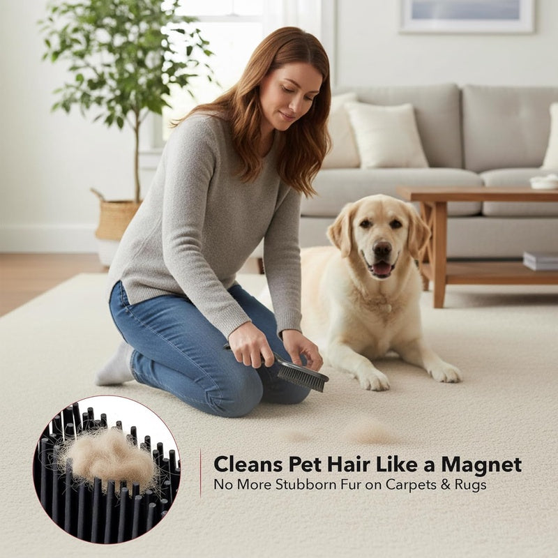 Carpet Rake Rubber Broom for Pet Hair Removal with Squeegee, Detailing Lint Fur Remover Brush, Dustpan and 50 Handle, Cleaning Tools Set for Rug, Hardwood Floor, Tile and Window, Grey CT2504GY